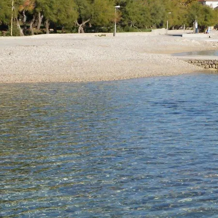Lisa Vodice